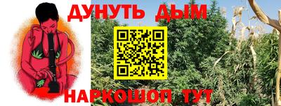крисы Братск