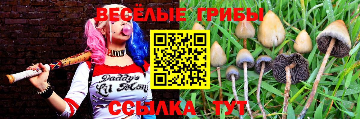 Псилоцибиновые грибы Magic Shrooms  Вход с VPN  Богданович 