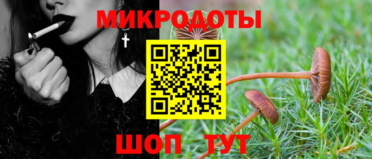 Псилоцибиновые грибы ЛСД Богданович